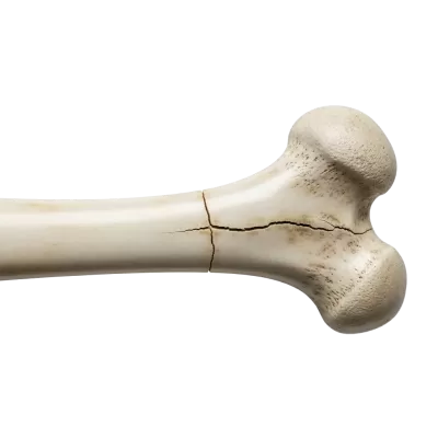 Imagen PNG para descargar